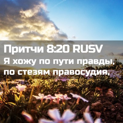 Picture 02 - Притчи 8:20 RUSV - Я хожу по пути правды, по - Bible Verse Picture