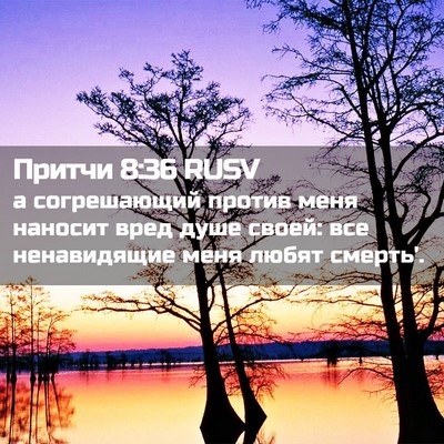 Picture 02 - Притчи 8:36 RUSV - а согрешающий против меня - Bible Verse Picture