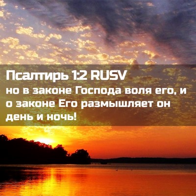 Picture 02 - Псалтирь 1:2 RUSV - но в законе Господа воля - Bible Verse Picture