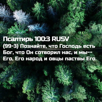 Picture 02 - Псалтирь 100:3 RUSV - (99-3) Познайте, что Господь - Bible Verse Picture