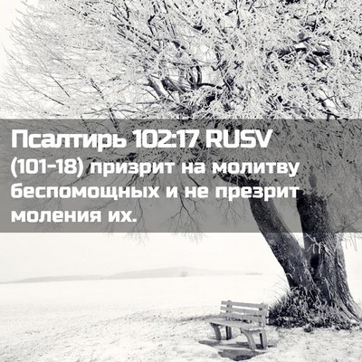 Picture 02 - Псалтирь 102:17 RUSV - (101-18) призрит на молитву - Bible Verse Picture