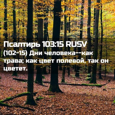 Picture 02 - Псалтирь 103:15 RUSV - (102-15) Дни человека--как - Bible Verse Picture