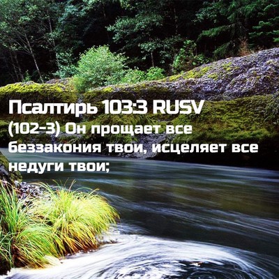 Picture 02 - Псалтирь 103:3 RUSV - (102-3) Он прощает все - Bible Verse Picture