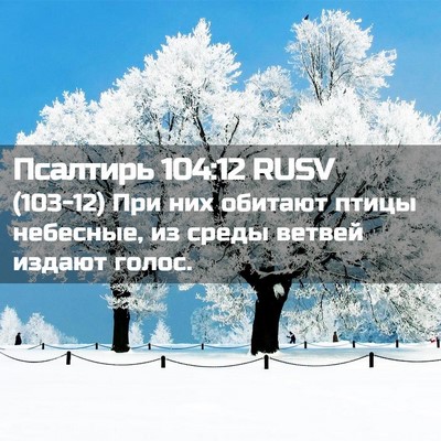 Picture 02 - Псалтирь 104:12 RUSV - (103-12) При них обитают птицы - Bible Verse Picture