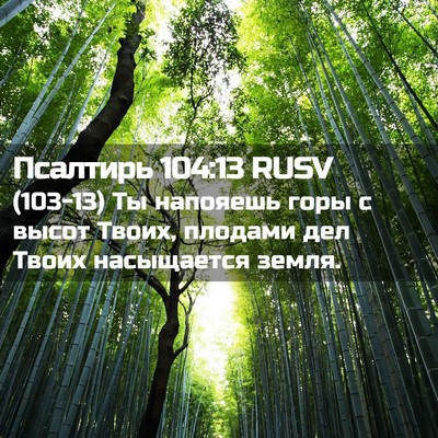 Picture 02 - Псалтирь 104:13 RUSV - (103-13) Ты напояешь горы с - Bible Verse Picture