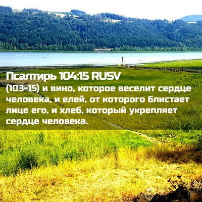 Picture 02 - Псалтирь 104:15 RUSV - (103-15) и вино, которое - Bible Verse Picture
