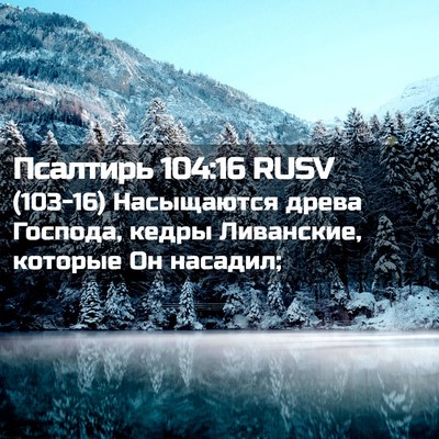 Picture 02 - Псалтирь 104:16 RUSV - (103-16) Насыщаются древа - Bible Verse Picture
