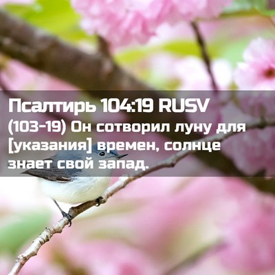 Picture 02 - Псалтирь 104:19 RUSV - (103-19) Он сотворил луну для - Bible Verse Picture