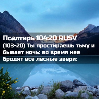 Picture 02 - Псалтирь 104:20 RUSV - (103-20) Ты простираешь тьму и - Bible Verse Picture