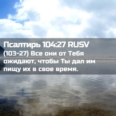 Picture 02 - Псалтирь 104:27 RUSV - (103-27) Все они от Тебя - Bible Verse Picture