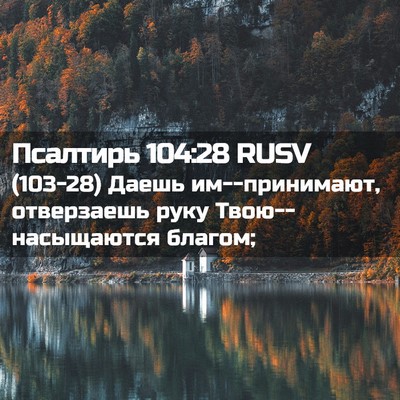 Picture 02 - Псалтирь 104:28 RUSV - (103-28) Даешь им--принимают, - Bible Verse Picture