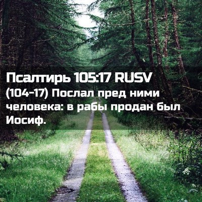 Picture 02 - Псалтирь 105:17 RUSV - (104-17) Послал пред ними - Bible Verse Picture