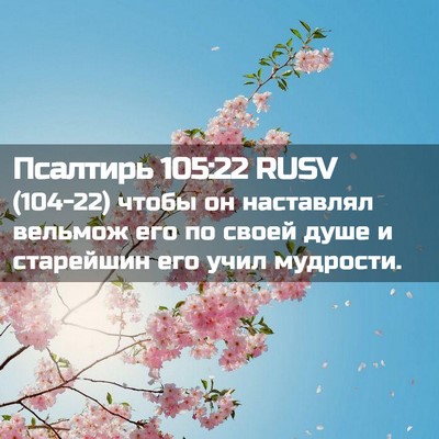 Picture 02 - Псалтирь 105:22 RUSV - (104-22) чтобы он наставлял - Bible Verse Picture