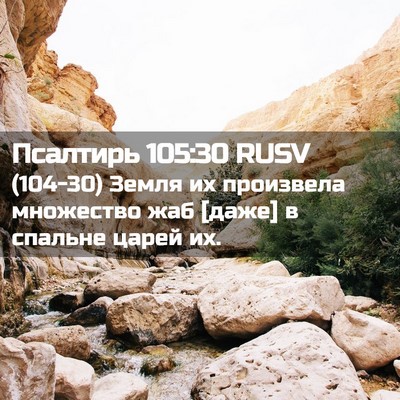 Picture 02 - Псалтирь 105:30 RUSV - (104-30) Земля их произвела - Bible Verse Picture