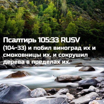 Picture 02 - Псалтирь 105:33 RUSV - (104-33) и побил виноград их и - Bible Verse Picture