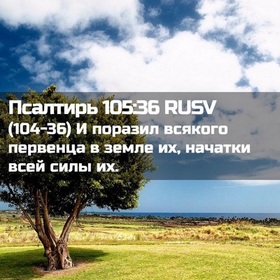 Picture 02 - Псалтирь 105:36 RUSV - (104-36) И поразил всякого - Bible Verse Picture