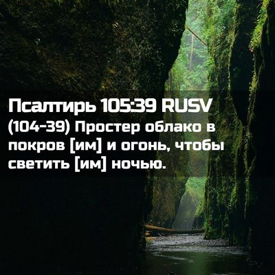 Picture 02 - Псалтирь 105:39 RUSV - (104-39) Простер облако в - Bible Verse Picture