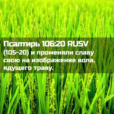 Picture 02 - Псалтирь 106:20 RUSV - (105-20) и променяли славу - Bible Verse Picture