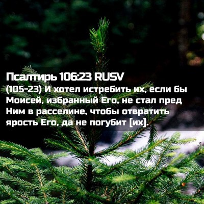 Picture 02 - Псалтирь 106:23 RUSV - (105-23) И хотел истребить их, - Bible Verse Picture