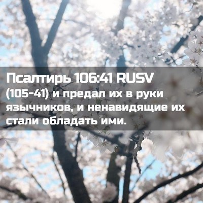 Picture 02 - Псалтирь 106:41 RUSV - (105-41) и предал их в руки - Bible Verse Picture