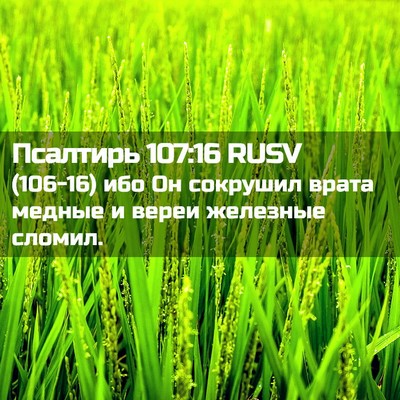 Picture 02 - Псалтирь 107:16 RUSV - (106-16) ибо Он сокрушил врата - Bible Verse Picture