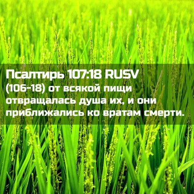Picture 02 - Псалтирь 107:18 RUSV - (106-18) от всякой пищи - Bible Verse Picture