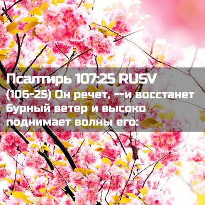 Picture 02 - Псалтирь 107:25 RUSV - (106-25) Он речет, --и восстанет - Bible Verse Picture