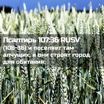 Picture 02 - Псалтирь 107:36 RUSV - (106-36) и поселяет там - Bible Verse Picture
