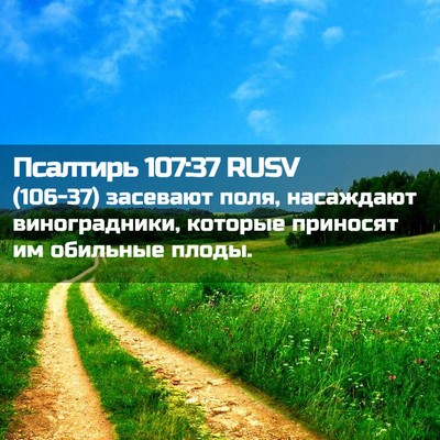 Picture 02 - Псалтирь 107:37 RUSV - (106-37) засевают поля, - Bible Verse Picture