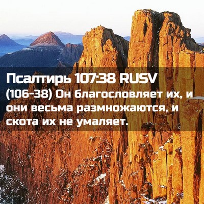 Picture 02 - Псалтирь 107:38 RUSV - (106-38) Он благословляет их, и - Bible Verse Picture