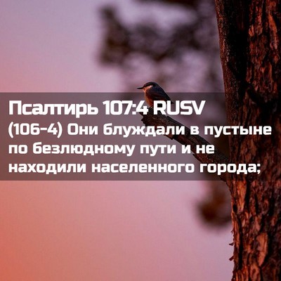 Picture 02 - Псалтирь 107:4 RUSV - (106-4) Они блуждали в пустыне - Bible Verse Picture