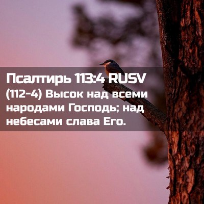 Picture 02 - Псалтирь 113:4 RUSV - (112-4) Высок над всеми - Bible Verse Picture