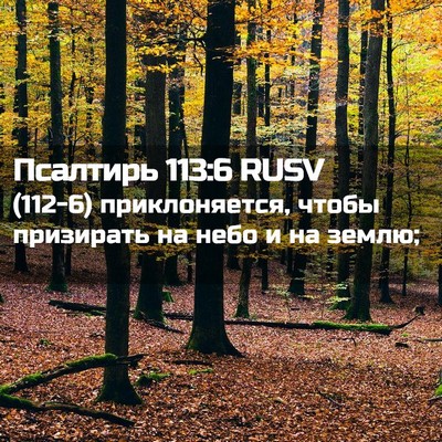 Picture 02 - Псалтирь 113:6 RUSV - (112-6) приклоняется, чтобы - Bible Verse Picture