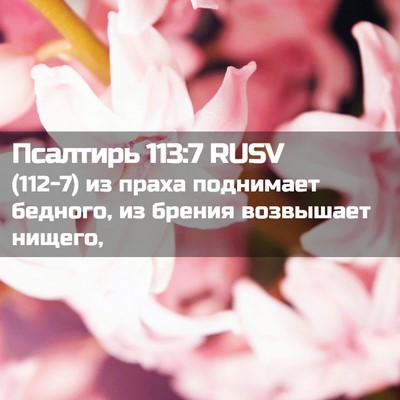 Picture 02 - Псалтирь 113:7 RUSV - (112-7) из праха поднимает - Bible Verse Picture