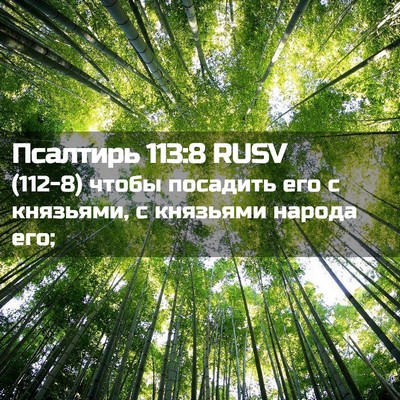 Picture 02 - Псалтирь 113:8 RUSV - (112-8) чтобы посадить его с - Bible Verse Picture