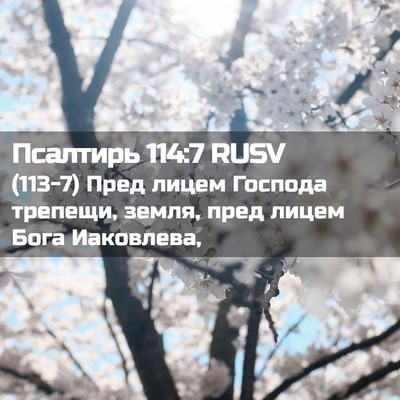 Picture 02 - Псалтирь 114:7 RUSV - (113-7) Пред лицем Господа - Bible Verse Picture