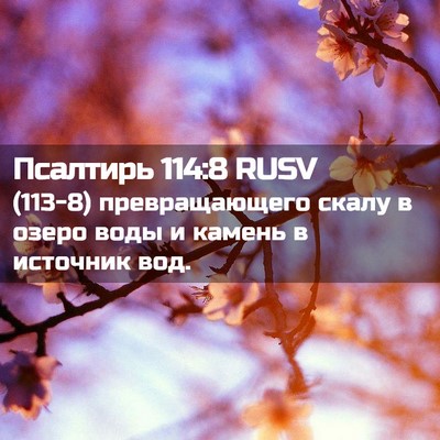 Picture 02 - Псалтирь 114:8 RUSV - (113-8) превращающего скалу в - Bible Verse Picture