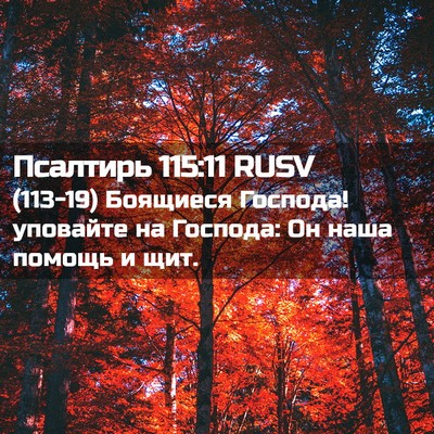 Picture 02 - Псалтирь 115:11 RUSV - (113-19) Боящиеся Господа! - Bible Verse Picture
