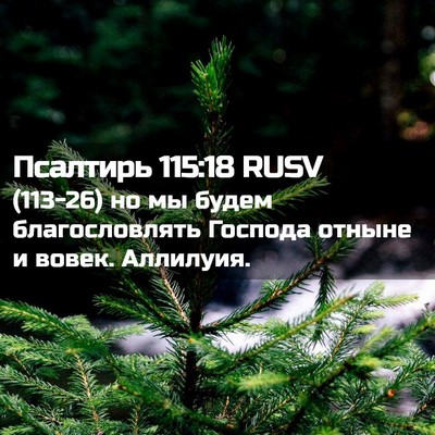 Picture 02 - Псалтирь 115:18 RUSV - (113-26) но мы будем - Bible Verse Picture