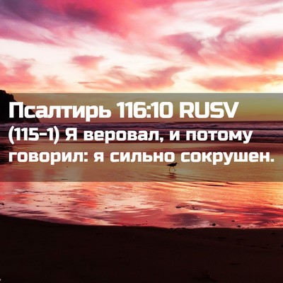 Picture 02 - Псалтирь 116:10 RUSV - (115-1) Я веровал, и потому - Bible Verse Picture