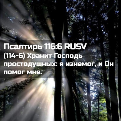 Picture 02 - Псалтирь 116:6 RUSV - (114-6) Хранит Господь - Bible Verse Picture