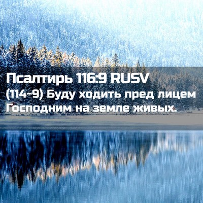 Picture 02 - Псалтирь 116:9 RUSV - (114-9) Буду ходить пред лицем - Bible Verse Picture