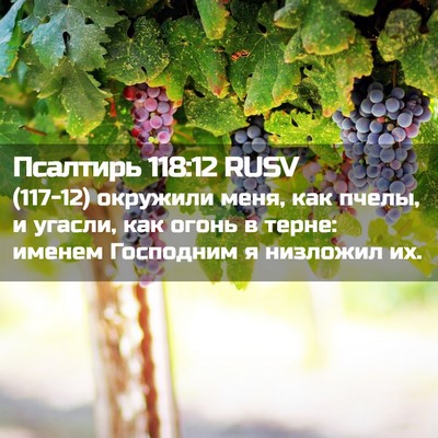 Picture 02 - Псалтирь 118:12 RUSV - (117-12) окружили меня, как - Bible Verse Picture