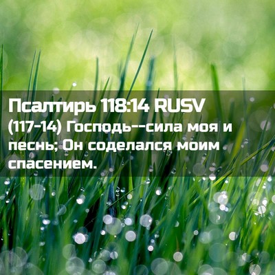 Picture 02 - Псалтирь 118:14 RUSV - (117-14) Господь--сила моя и - Bible Verse Picture