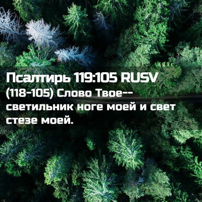 Picture 02 - Псалтирь 119:105 RUSV - (118-105) Слово - Bible Verse Picture