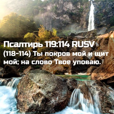 Picture 02 - Псалтирь 119:114 RUSV - (118-114) Ты покров мой и щит - Bible Verse Picture
