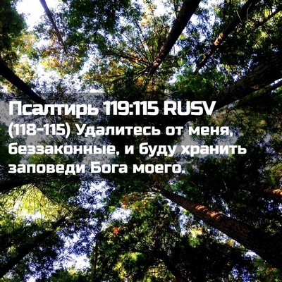 Picture 02 - Псалтирь 119:115 RUSV - (118-115) Удалитесь от меня, - Bible Verse Picture