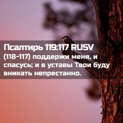 Picture 02 - Псалтирь 119:117 RUSV - (118-117) поддержи меня, и - Bible Verse Picture