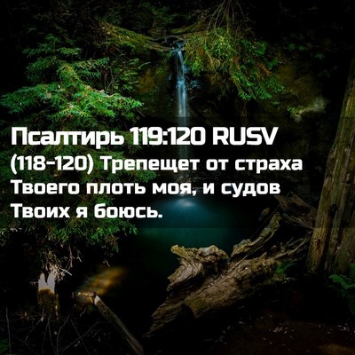 Picture 02 - Псалтирь 119:120 RUSV - (118-120) Трепещет от страха - Bible Verse Picture