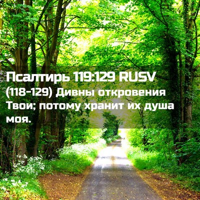 Picture 02 - Псалтирь 119:129 RUSV - (118-129) Дивны откровения - Bible Verse Picture